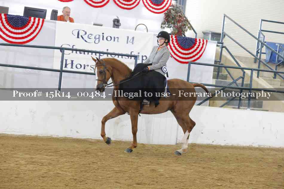 Proof 15R14_00484