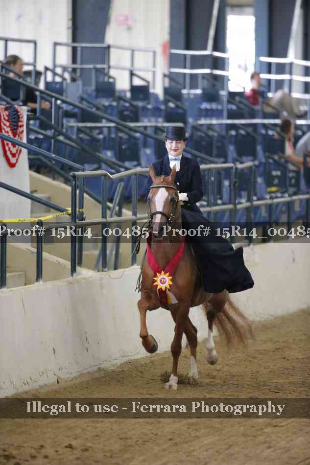 Proof 15R14_00485