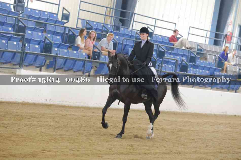 Proof 15R14_00486