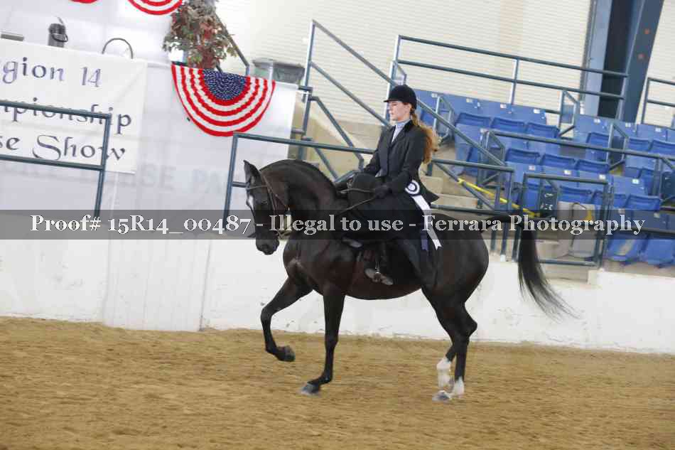 Proof 15R14_00487