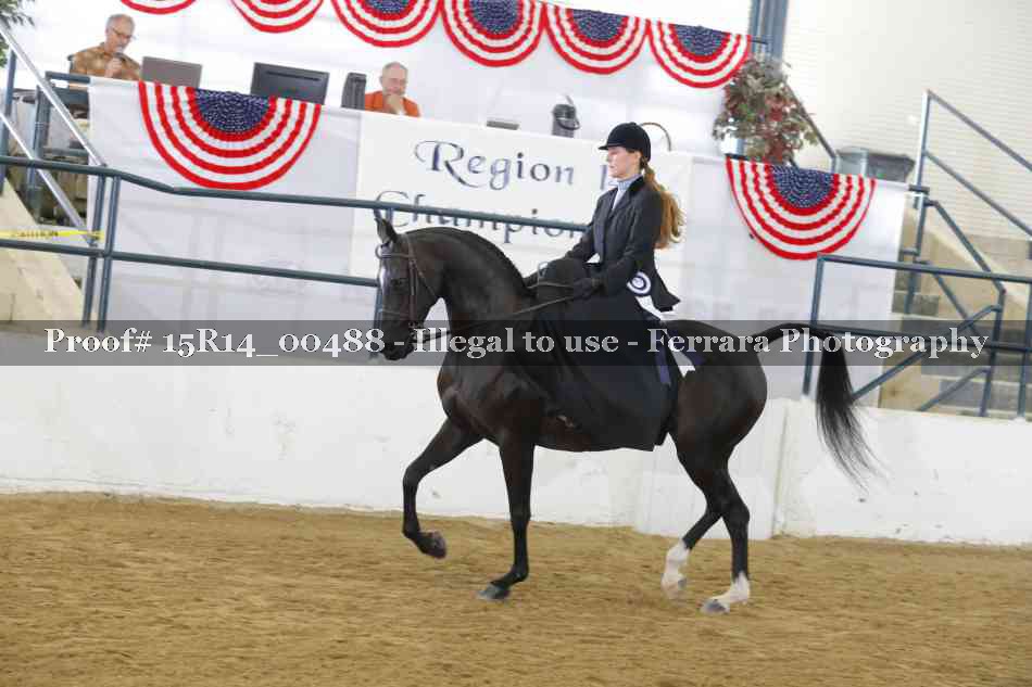 Proof 15R14_00488