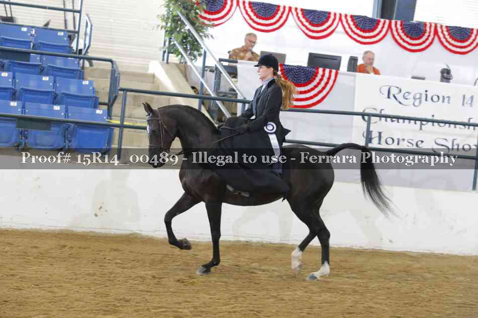 Proof 15R14_00489