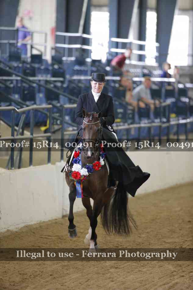 Proof 15R14_00491