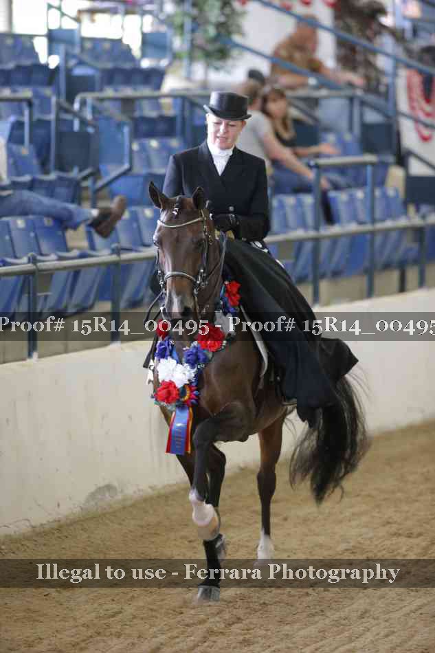Proof 15R14_00495