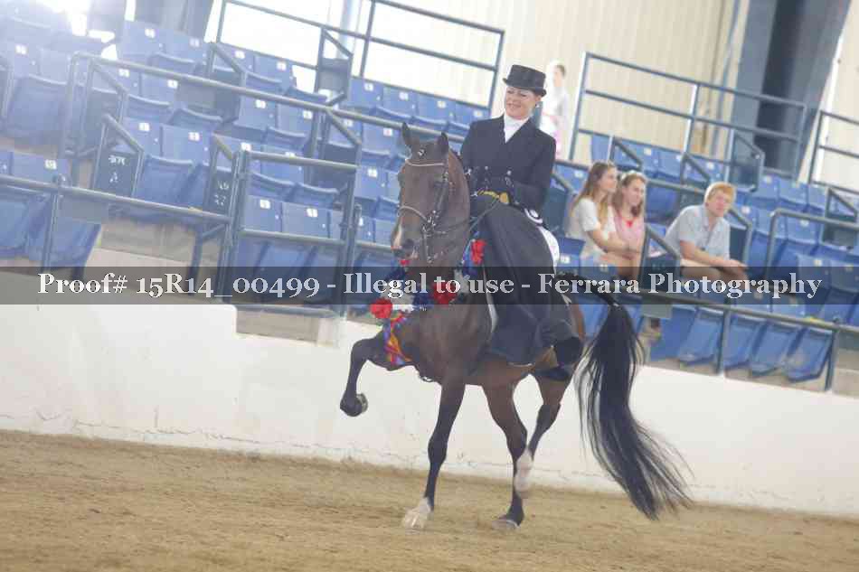 Proof 15R14_00499