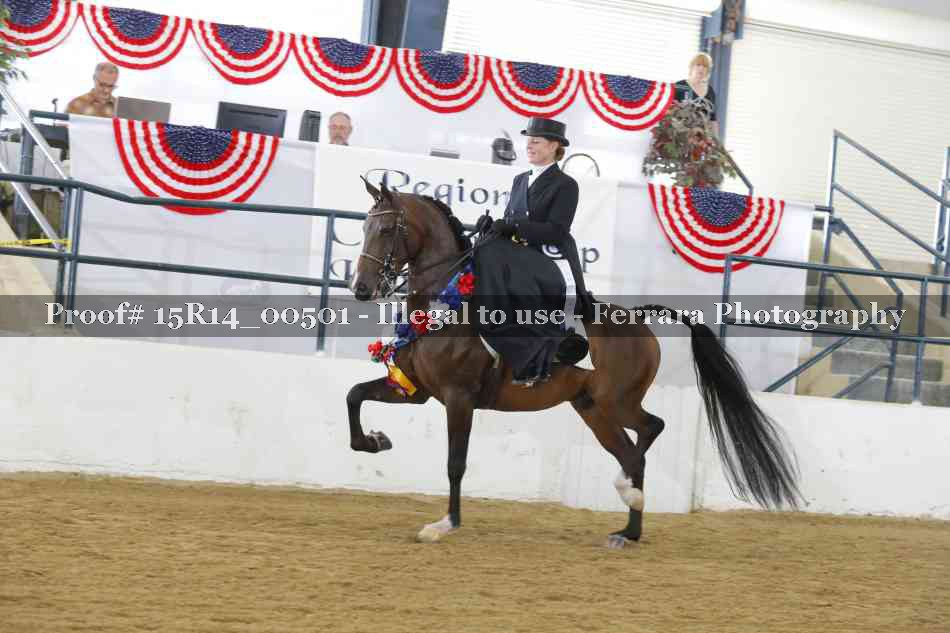 Proof 15R14_00501