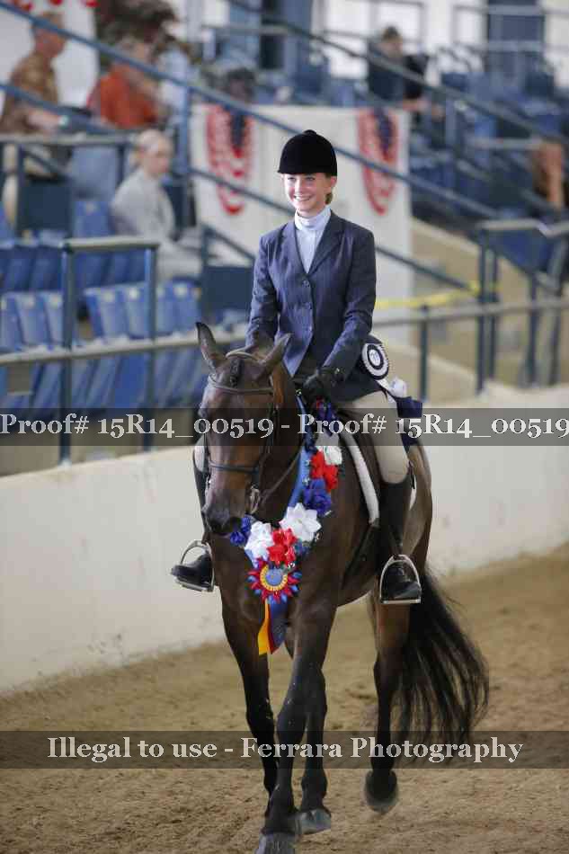 Proof 15R14_00519