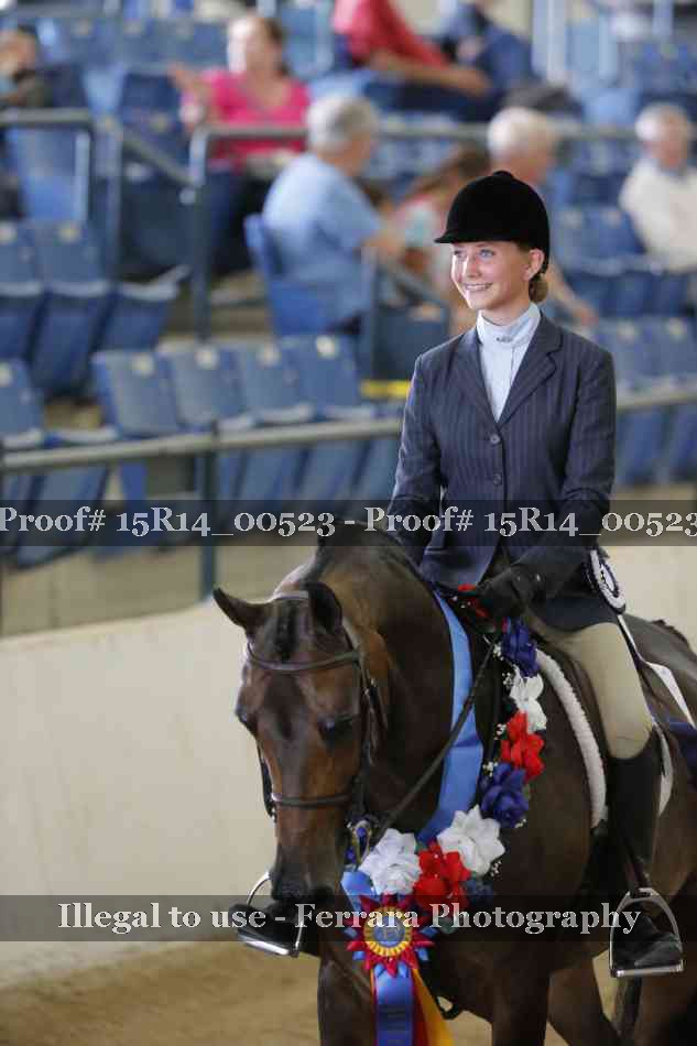 Proof 15R14_00523