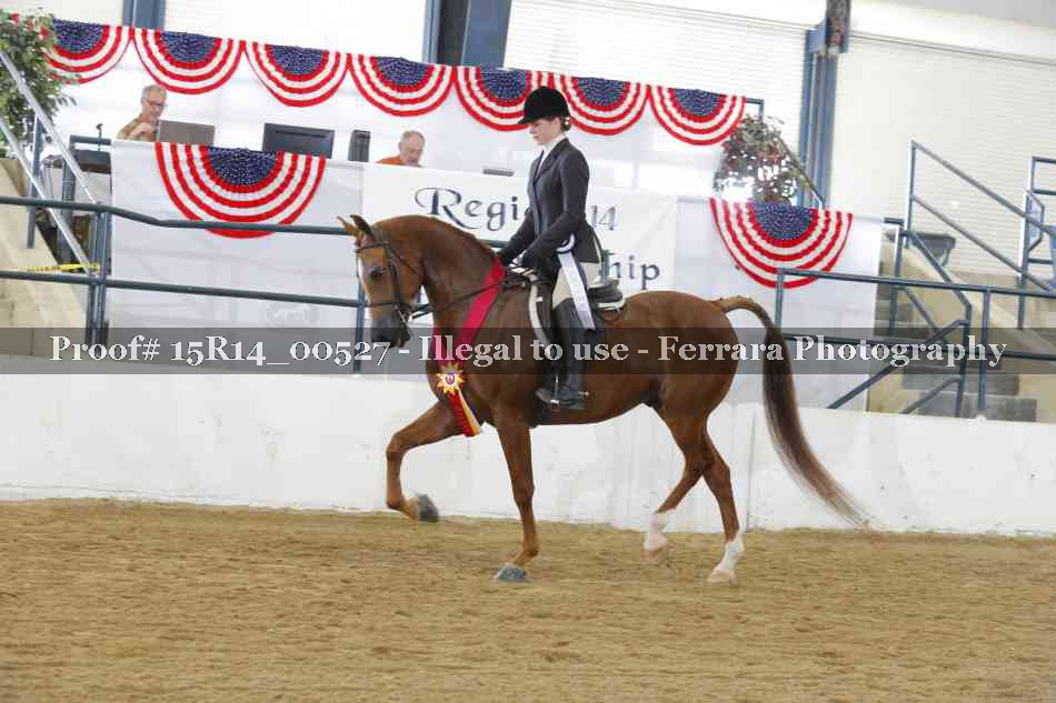 Proof 15R14_00527
