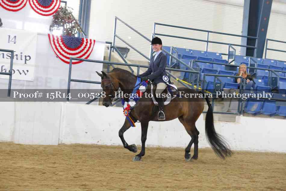 Proof 15R14_00528