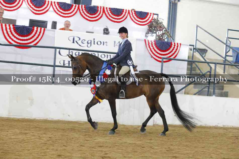 Proof 15R14_00529