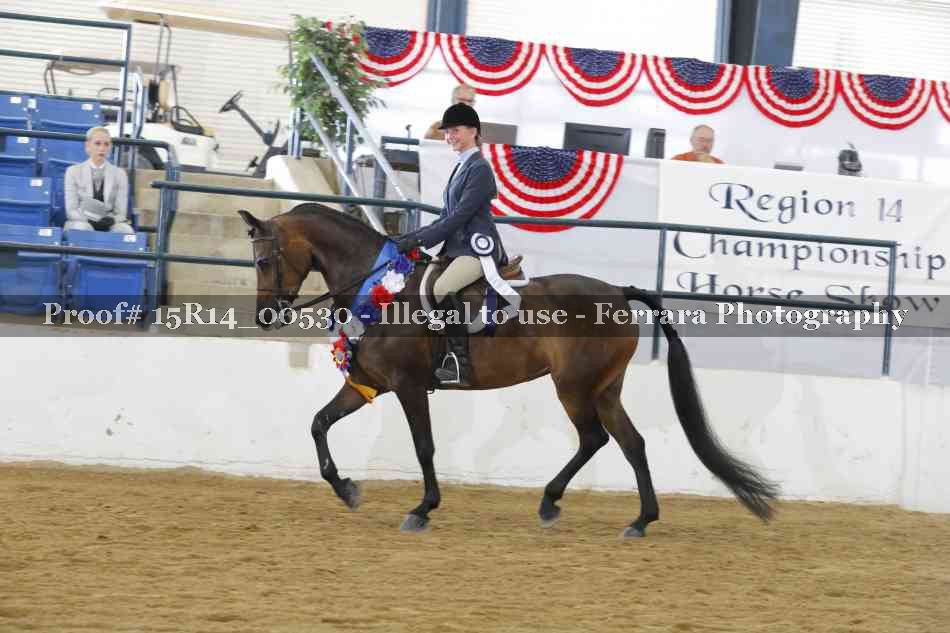 Proof 15R14_00530