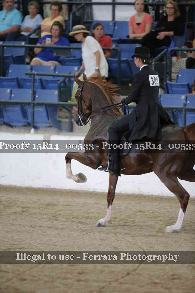 Proof 15R14_00533