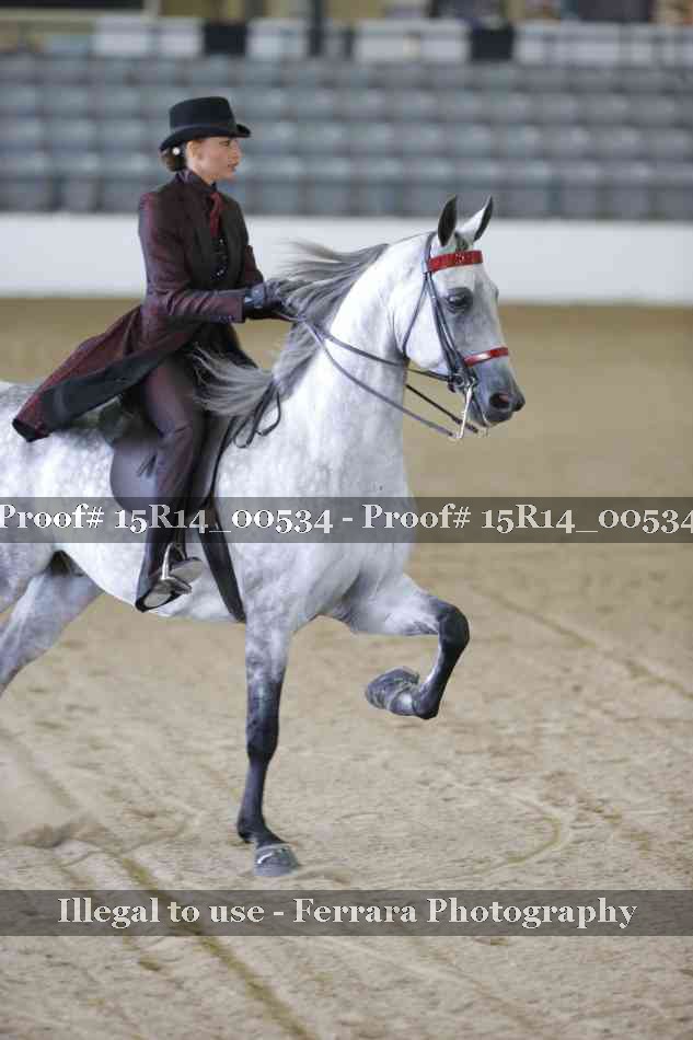 Proof 15R14_00534