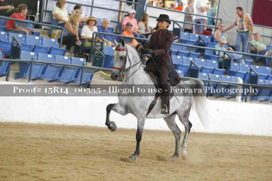 Proof 15R14_00535