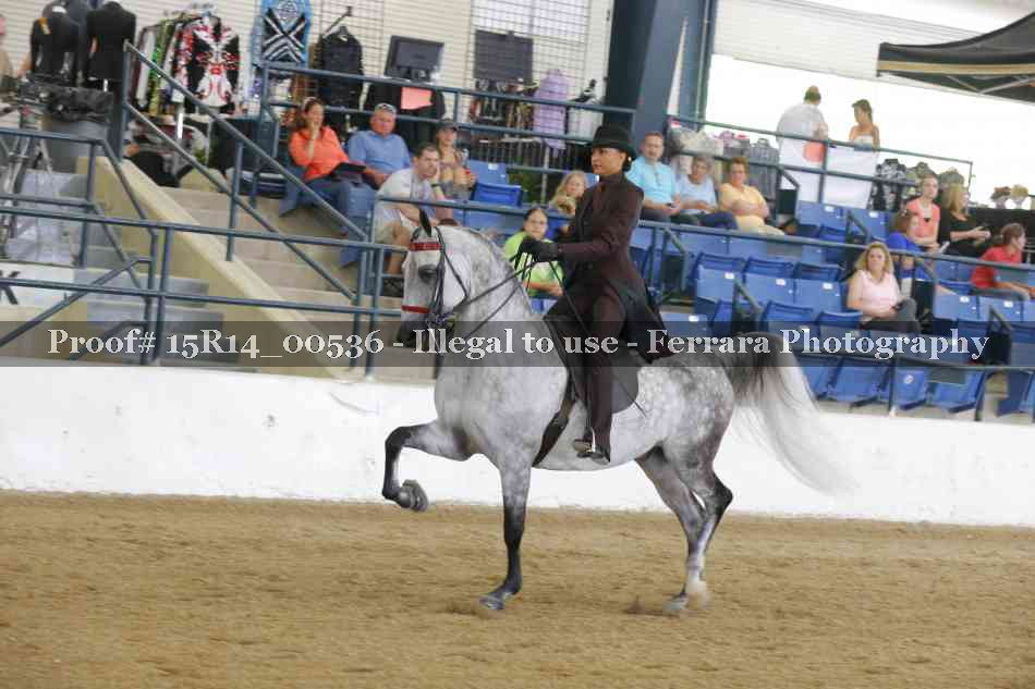 Proof 15R14_00536