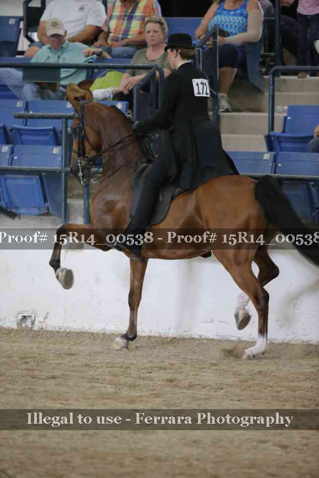 Proof 15R14_00538