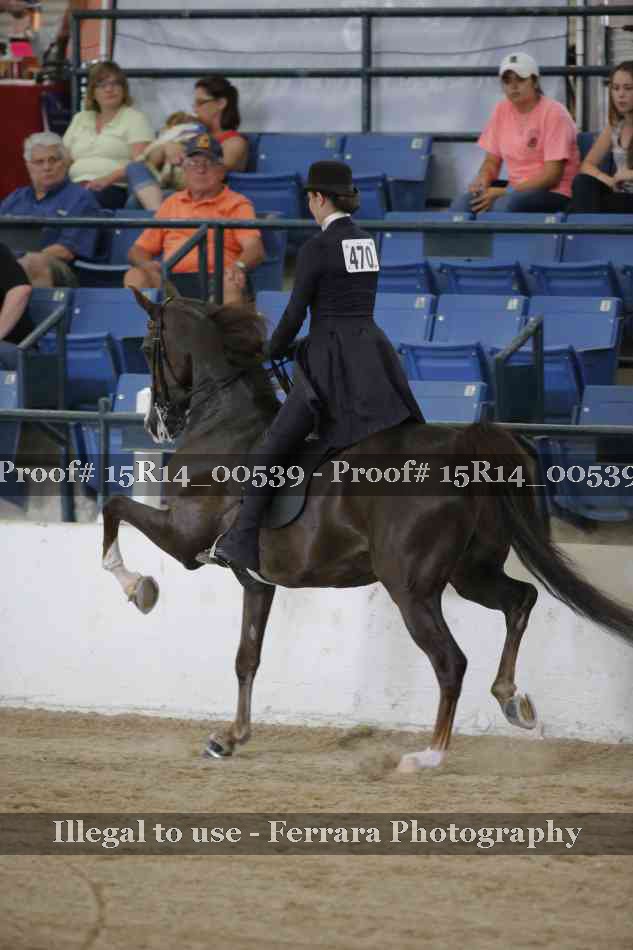 Proof 15R14_00539