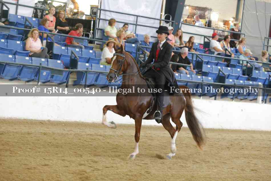Proof 15R14_00540
