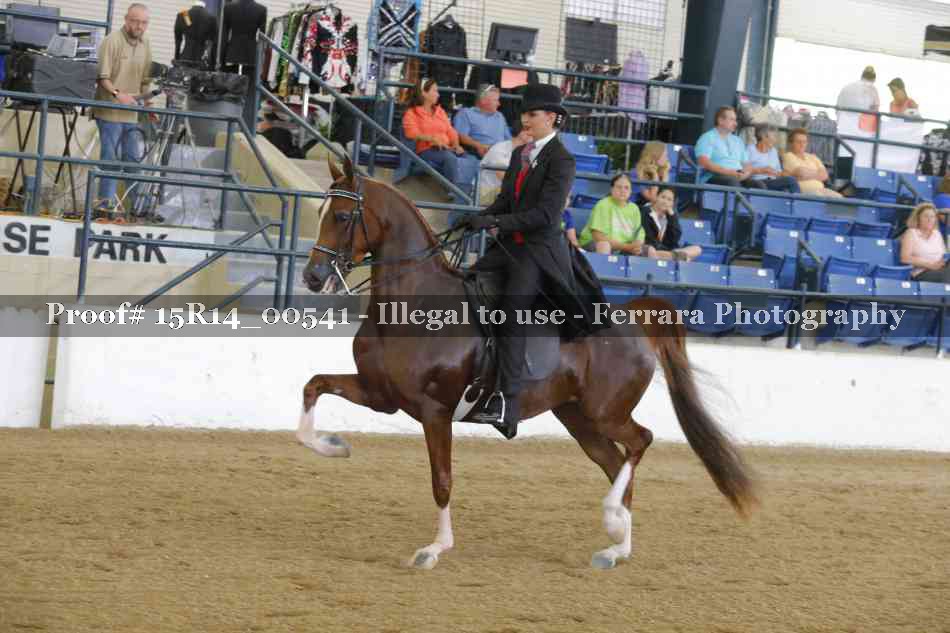 Proof 15R14_00541