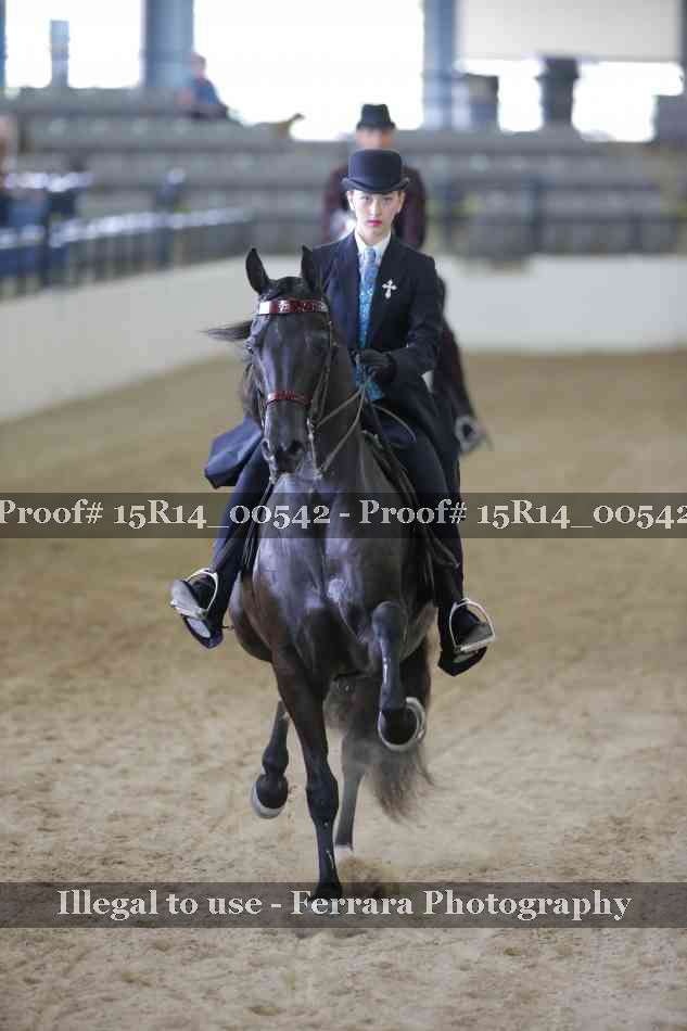 Proof 15R14_00542