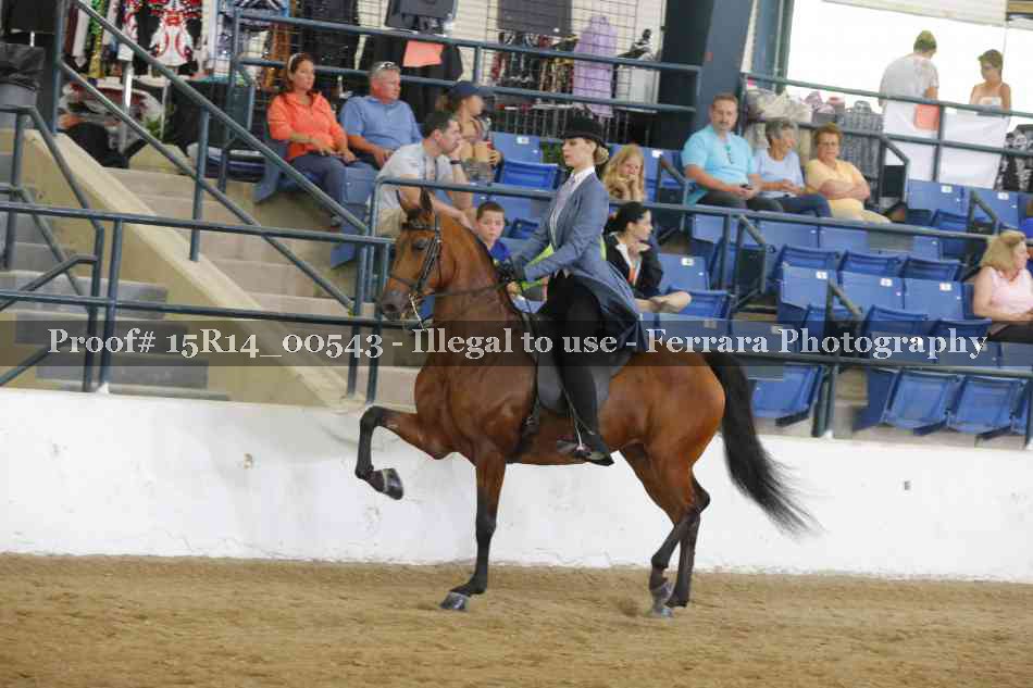 Proof 15R14_00543