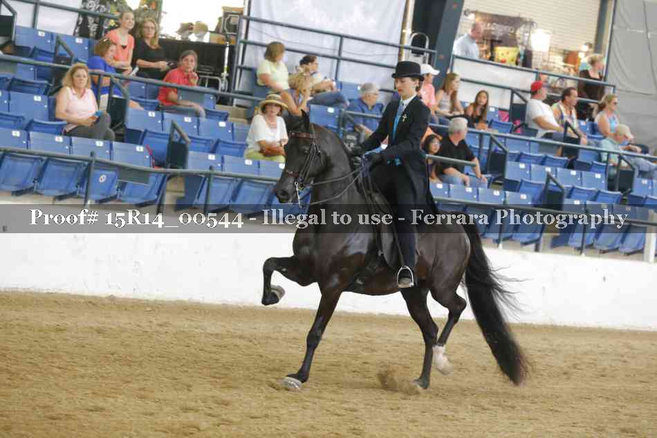 Proof 15R14_00544