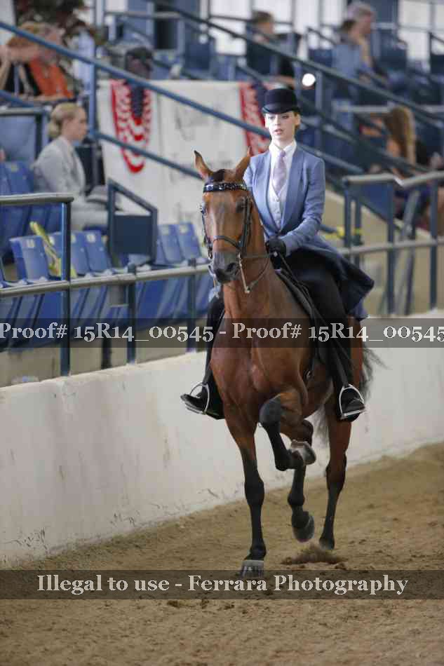 Proof 15R14_00545