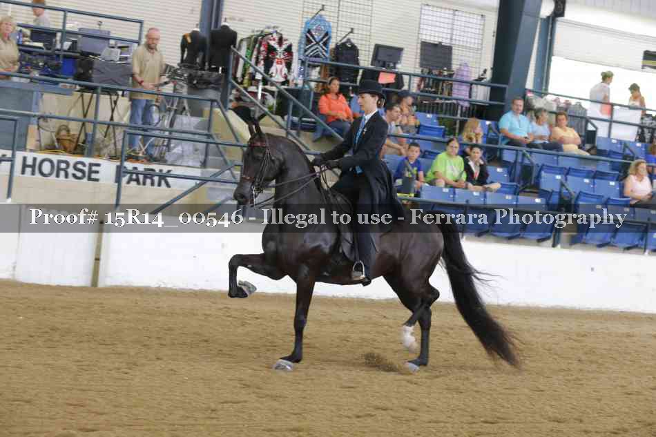 Proof 15R14_00546