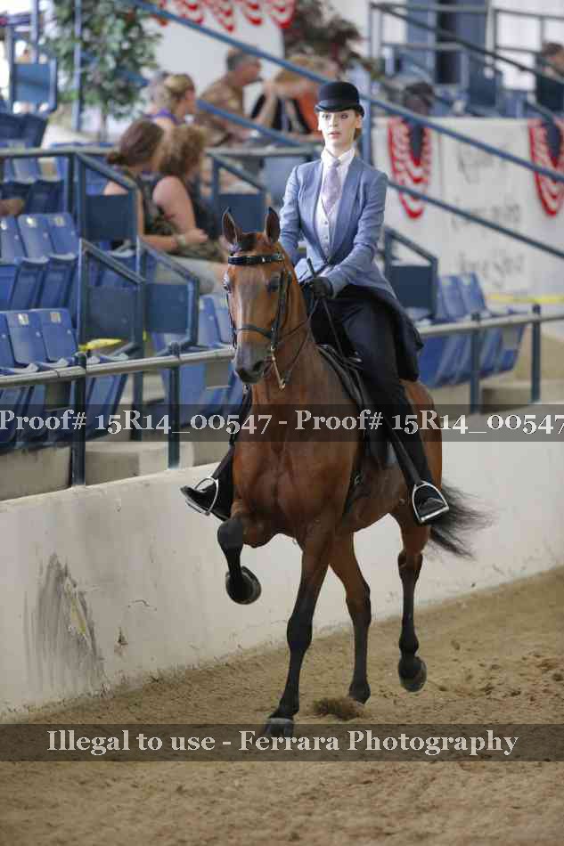 Proof 15R14_00547
