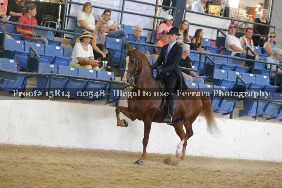 Proof 15R14_00548