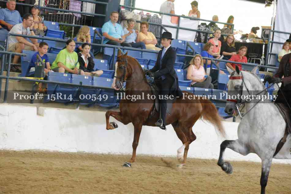 Proof 15R14_00549