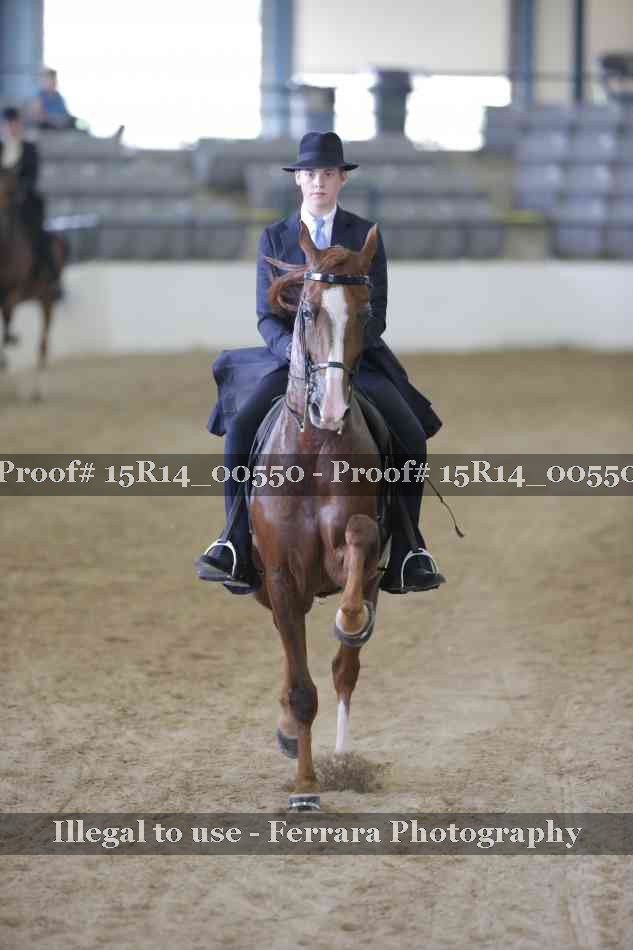 Proof 15R14_00550