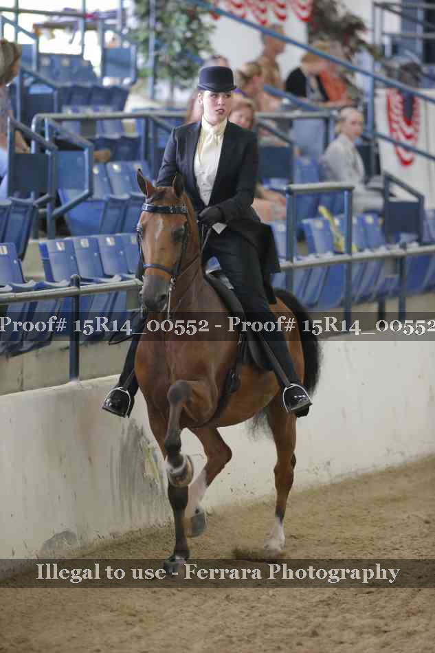 Proof 15R14_00552