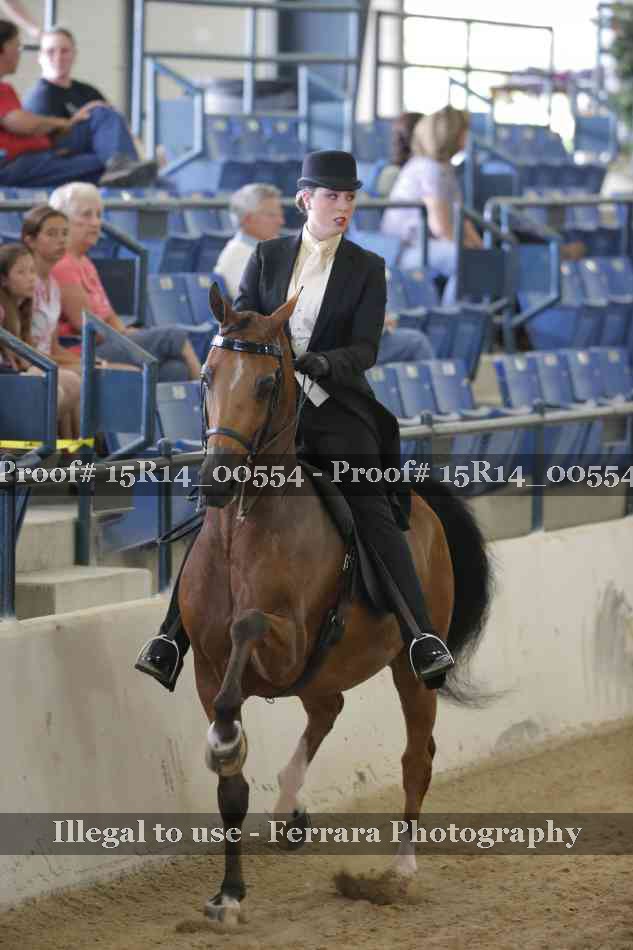 Proof 15R14_00554