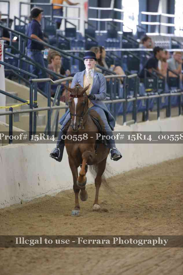 Proof 15R14_00558