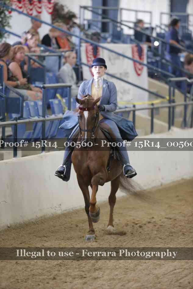 Proof 15R14_00560