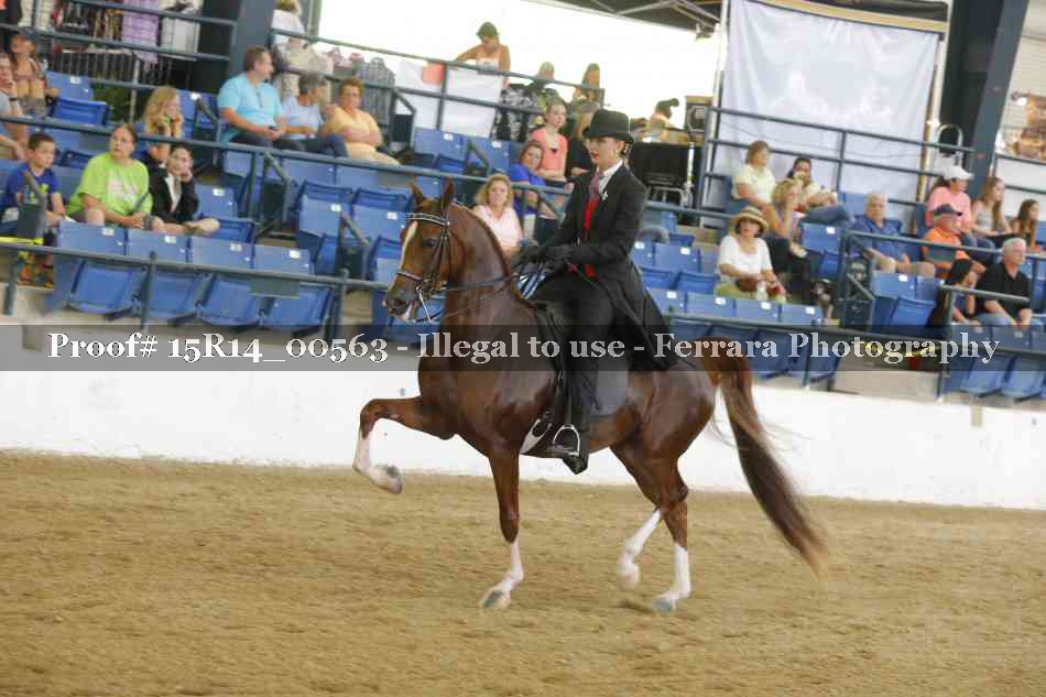 Proof 15R14_00563