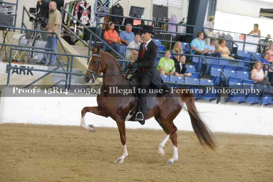 Proof 15R14_00564