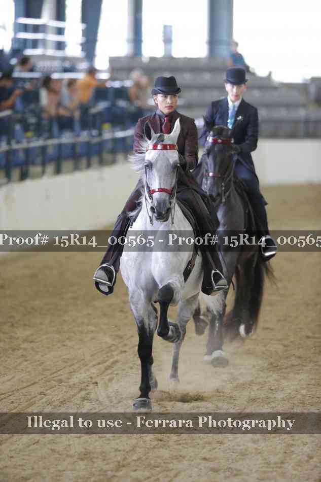 Proof 15R14_00565