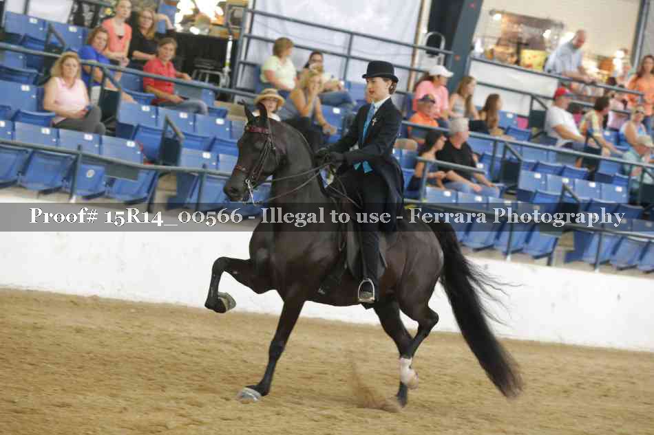 Proof 15R14_00566