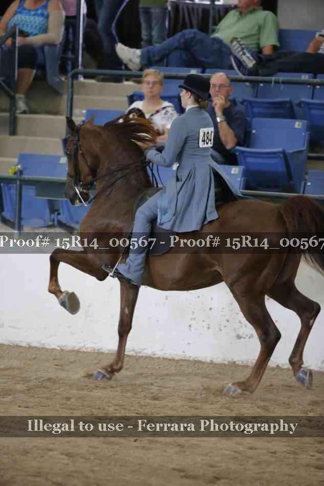 Proof 15R14_00567