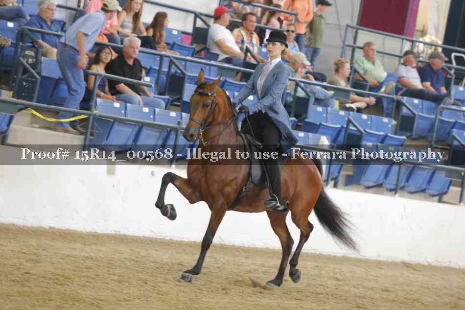 Proof 15R14_00568