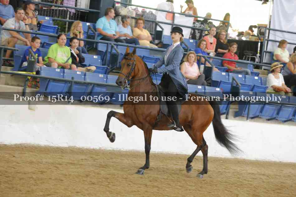Proof 15R14_00569