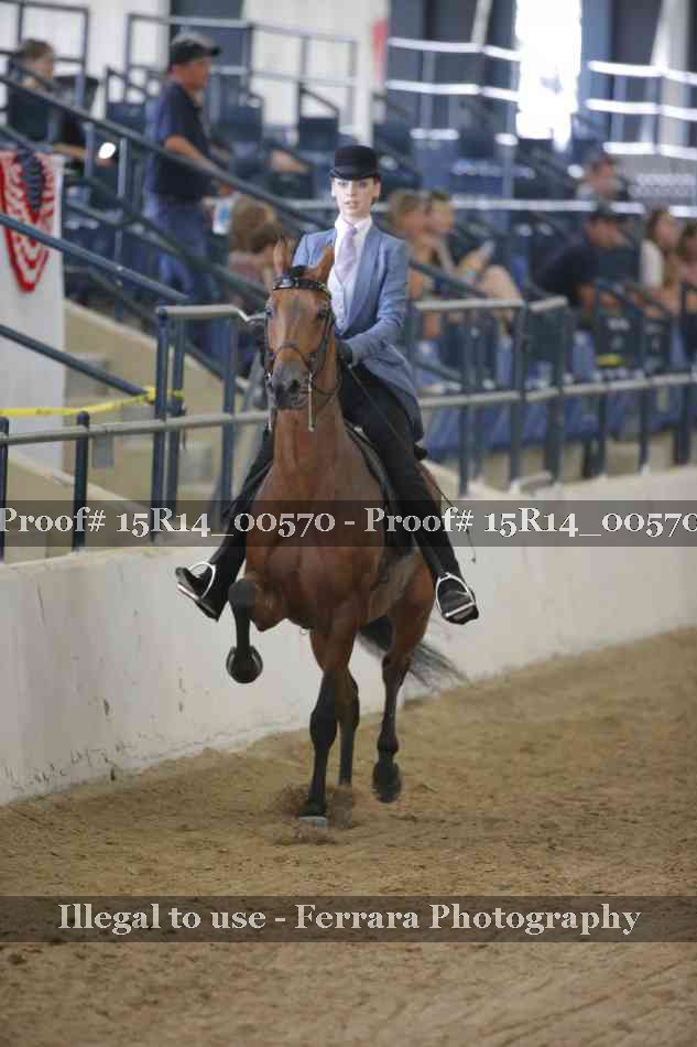 Proof 15R14_00570