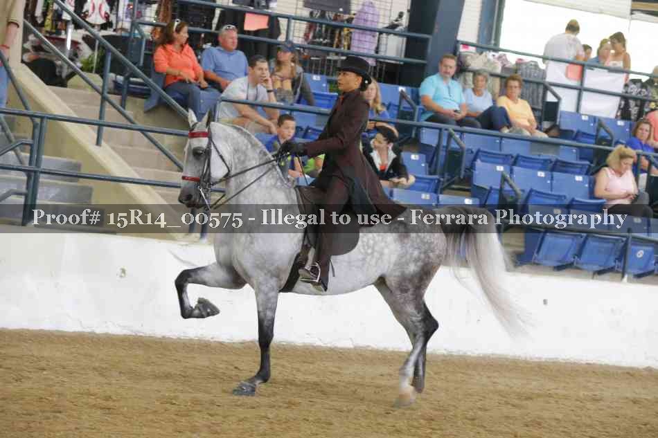 Proof 15R14_00575