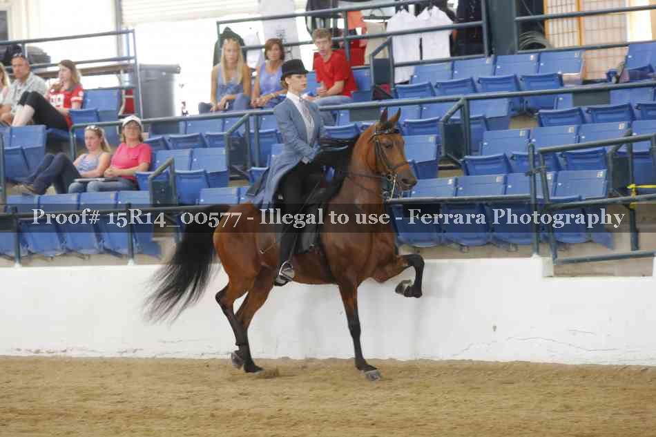 Proof 15R14_00577