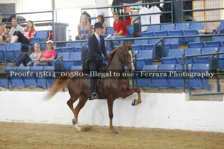 Proof 15R14_00580
