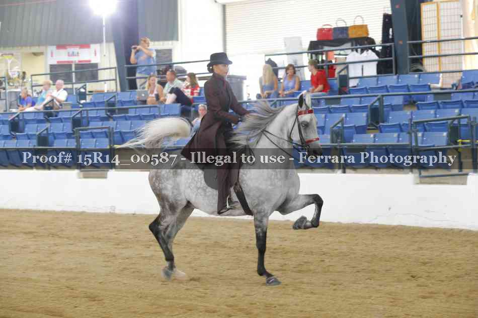 Proof 15R14_00587