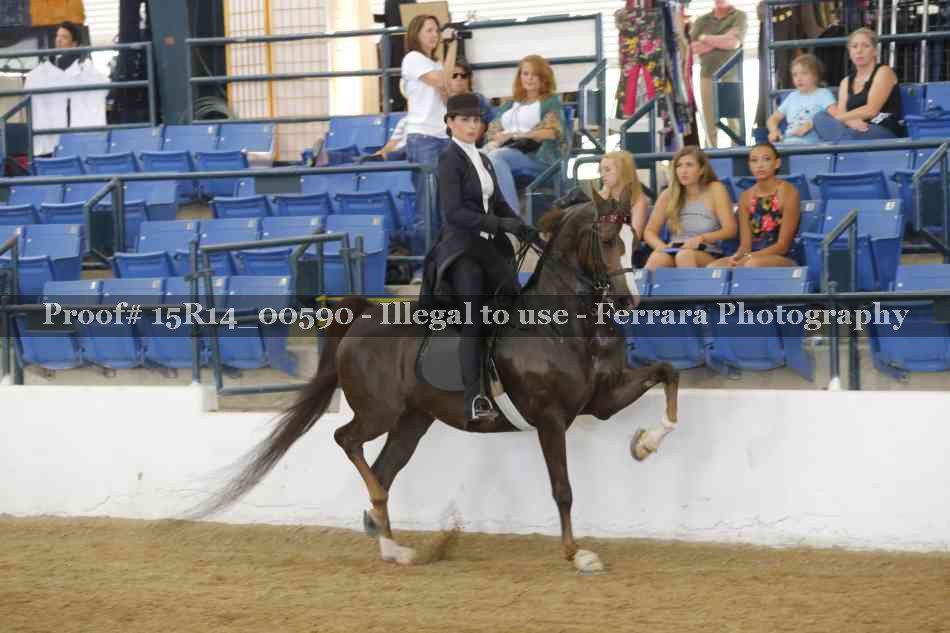 Proof 15R14_00590